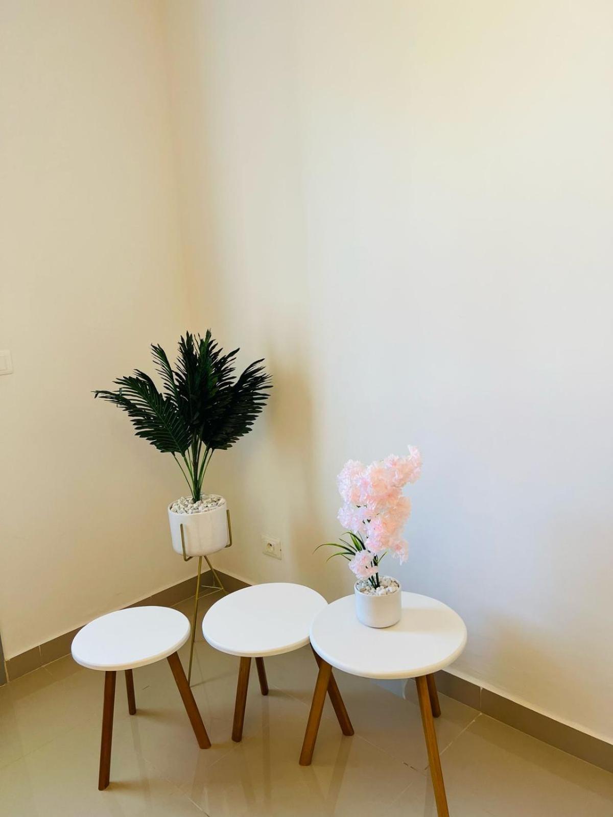 Apartament Dream Garden Djerba